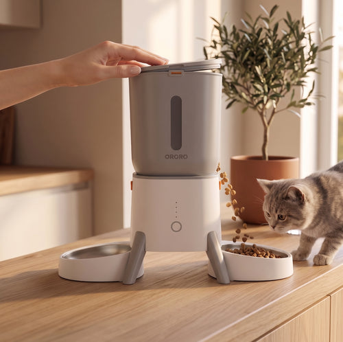 Smart Camera Feeder Dual Bowl NOMIA
