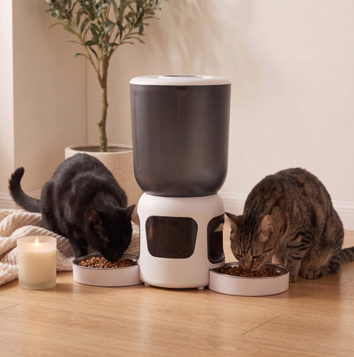 Smart Camera Feeder Dual Bowl PAVIA